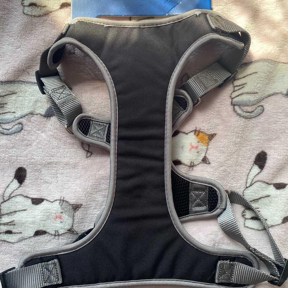 DOG HARDNESS 🐶❤️